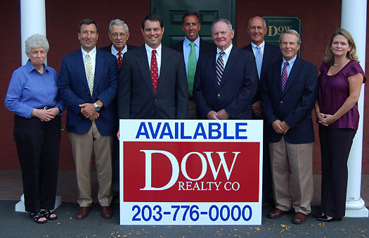 dow realty team